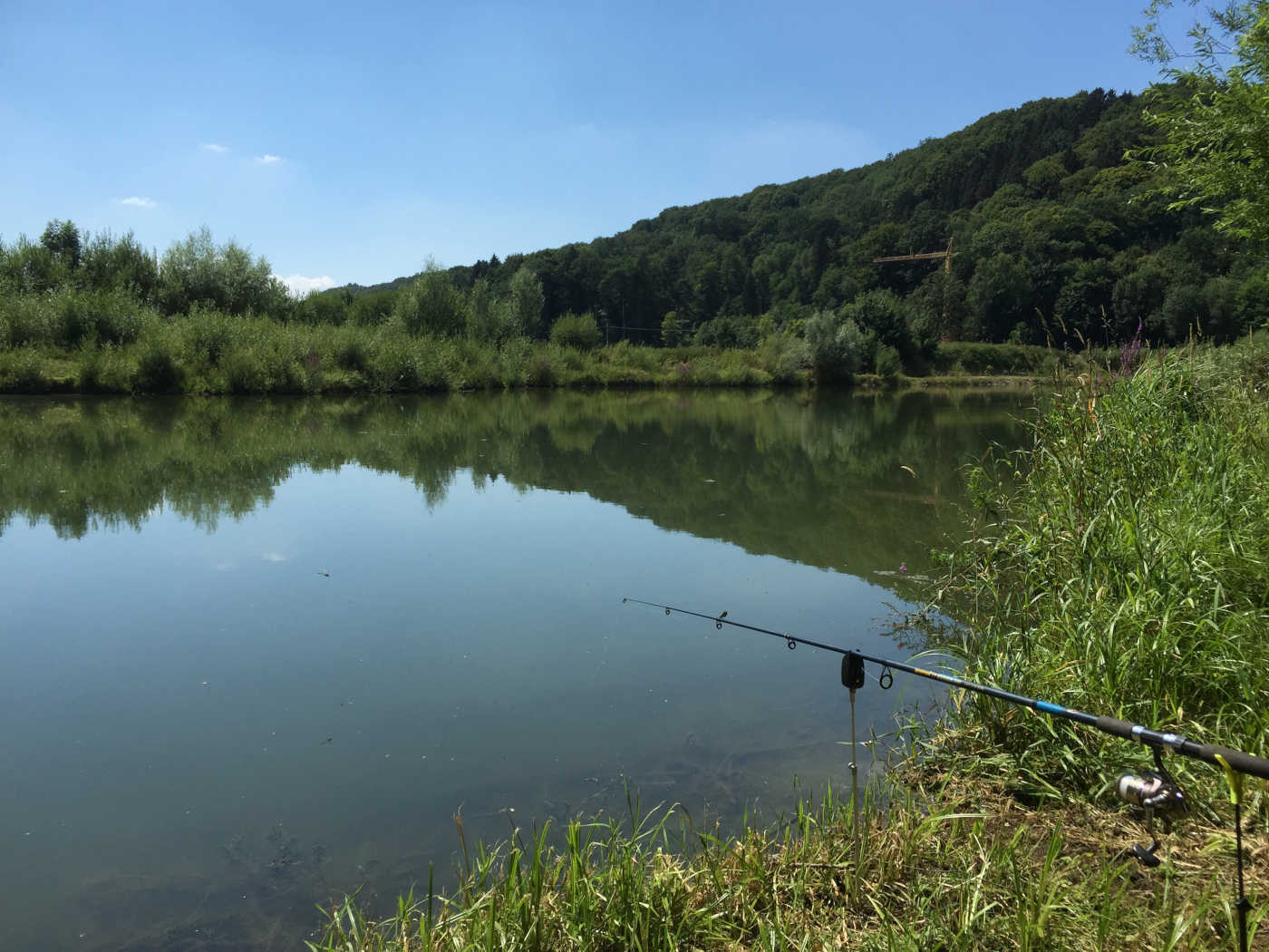 Unser erster eigener Weiher. Von Hasberg Richtung Mindelzell kommend (GZ 8), liegt dieser Weiher nach dem Baukran auf der rechten Seite. Gemarkung Mindelzell (Fl.-Nr. 1618).