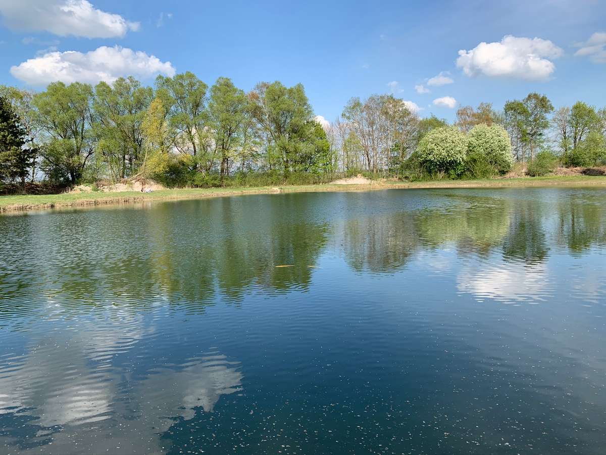 Direkt östlich neben dem Moosweiher liegt der Badeweiher. Dieser wird seitlich in Richtung St 2037 (nach Kirchheim) vom Krebsbach flankiert. Gemarkung Pfaffenhausen (Fl.-Nr. 1225).